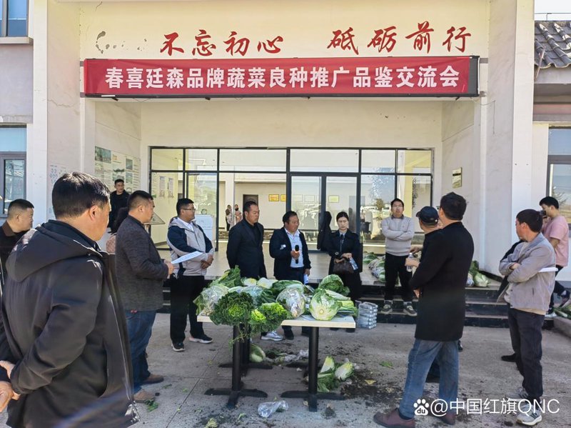 网站定制开发：构建独一无二的企业门面